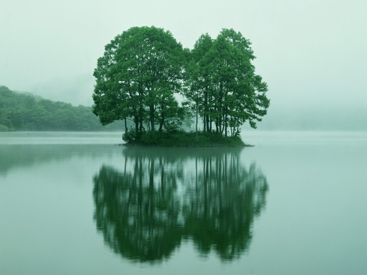 26236 (a): :1600x1200